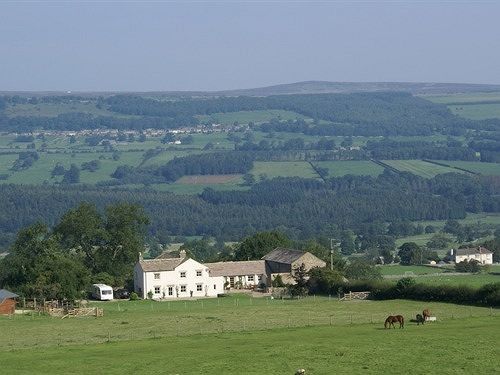 WensleyCapple Bank Farm住宿加早餐旅馆 外观 照片